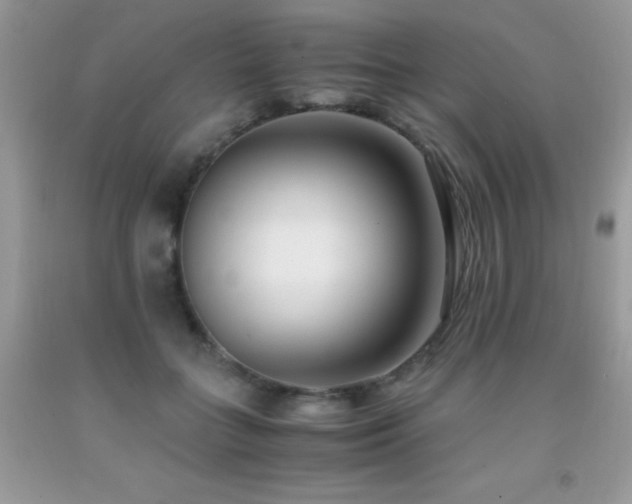 X0000091920555200709051442