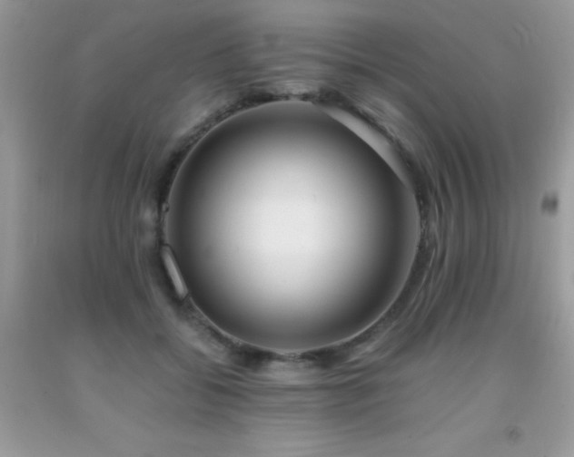 X0000091920556200709051442