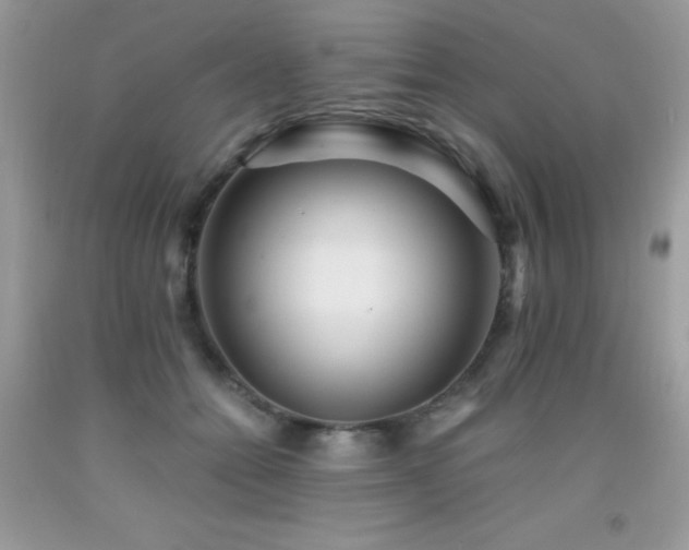 X0000091920558200709051442