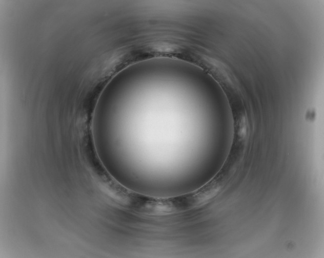 X0000091920559200709051442