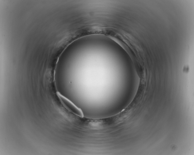 X0000091920560200709051442