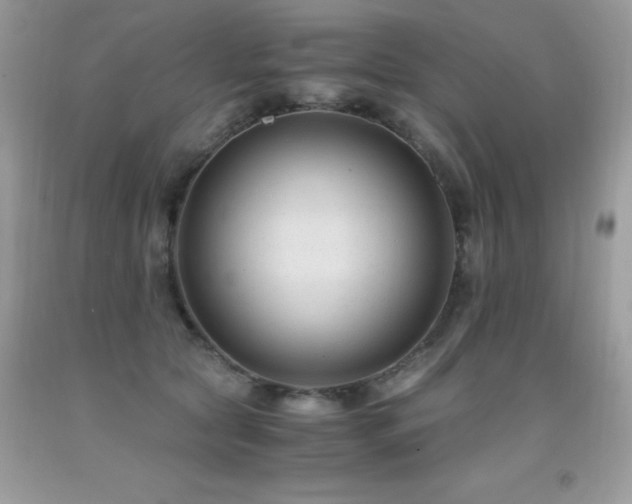 X0000091920561200709051442