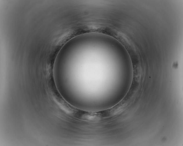 X0000091920563200709051443