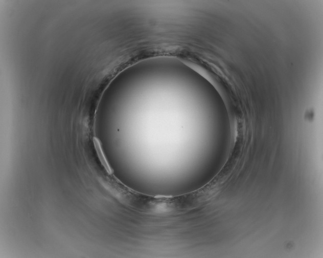 X0000091920564200709051443