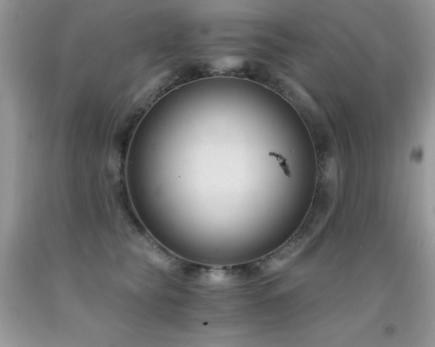 X0000091920565200709051443