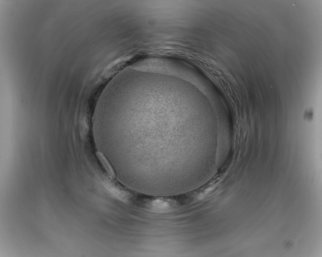 X0000091920566200709051443