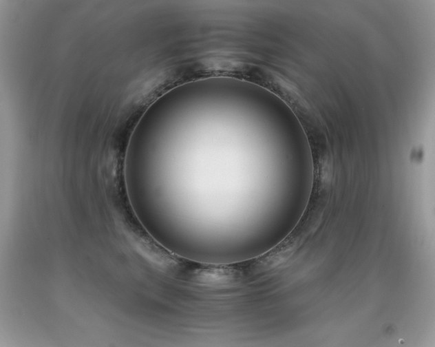 X0000091920567200709051443