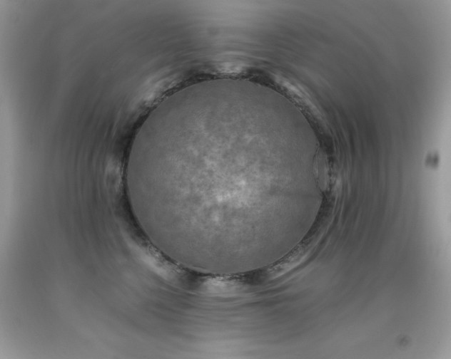 X0000091920568200709051443