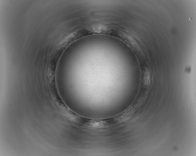 X0000091920569200709051443