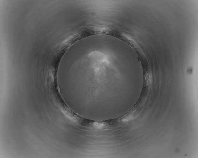 X0000091920570200709051443