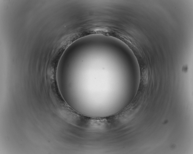 X0000091920571200709051443