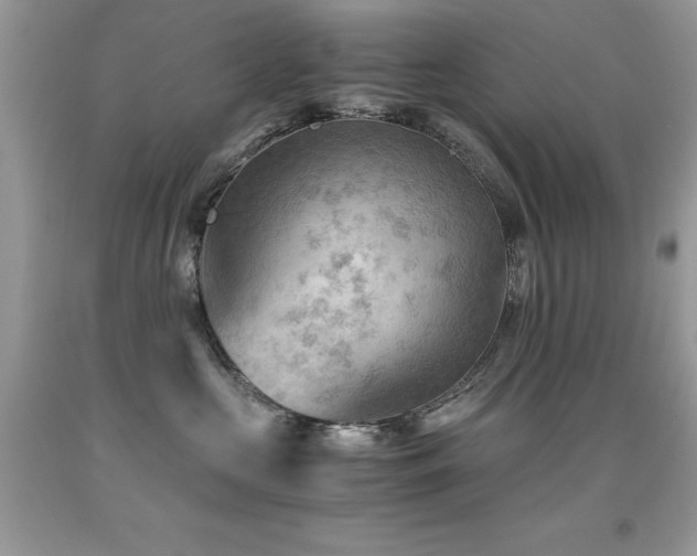 X0000091920573200709051443