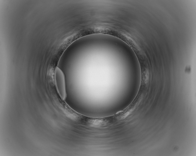 X0000091920575200709051443