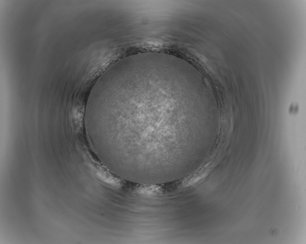 X0000091920576200709051443
