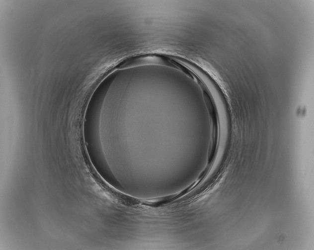 X0000091920577200709051442