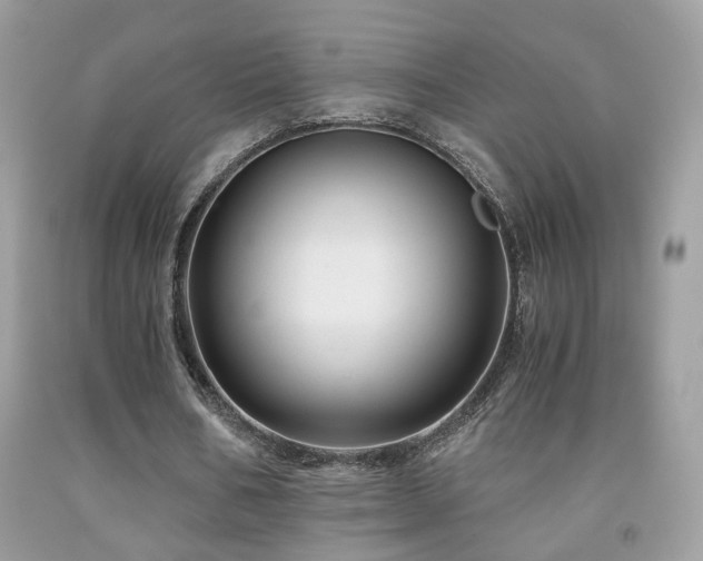 X0000091920578200709051442
