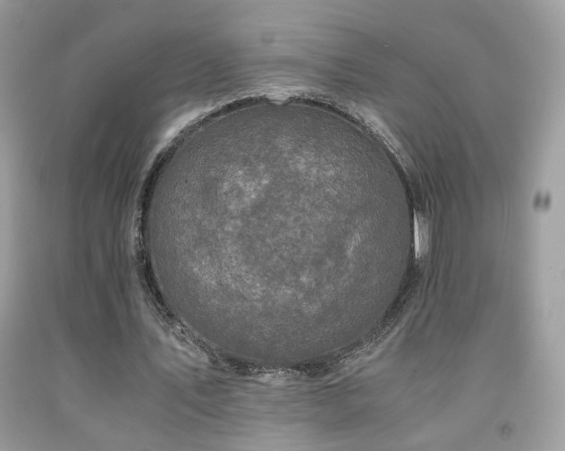 X0000091920579200709051442
