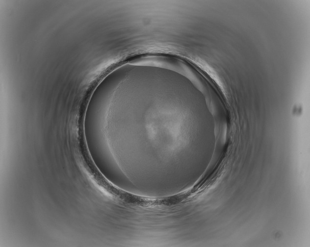 X0000091920581200709051442