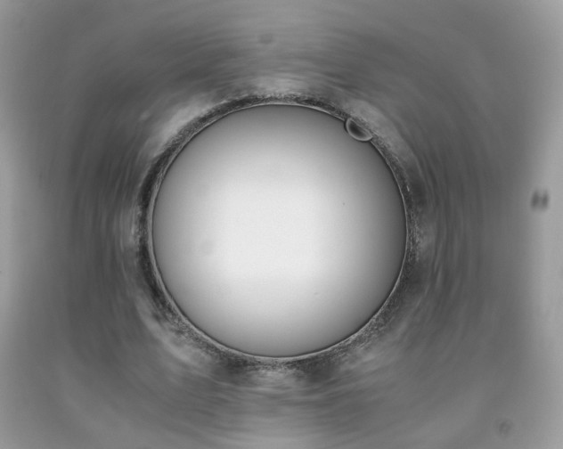 X0000091920583200709051442