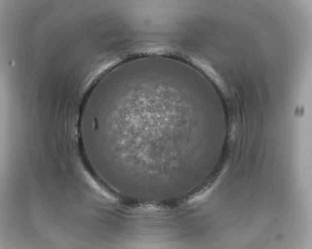 X0000091920585200709051442