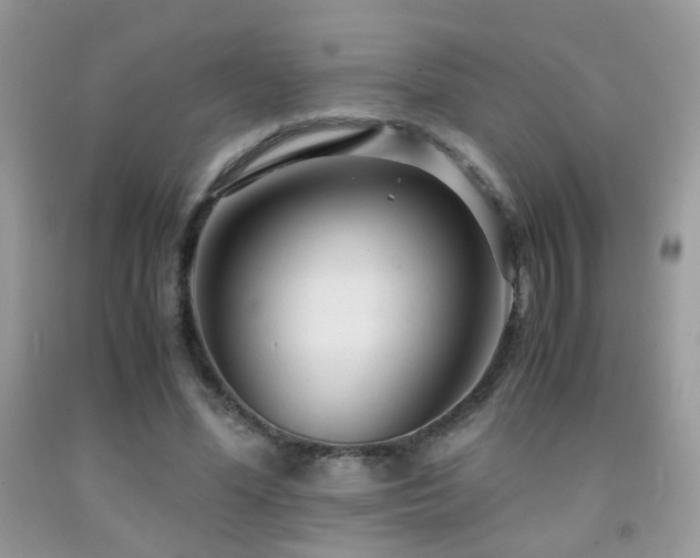 X0000091920588200709051442