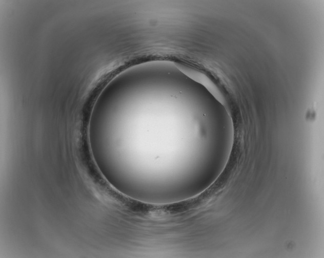X0000091920591200709051442