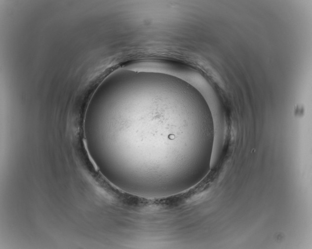 X0000091920593200709051442
