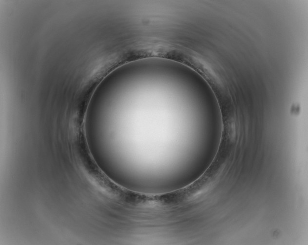 X0000091920594200709051442