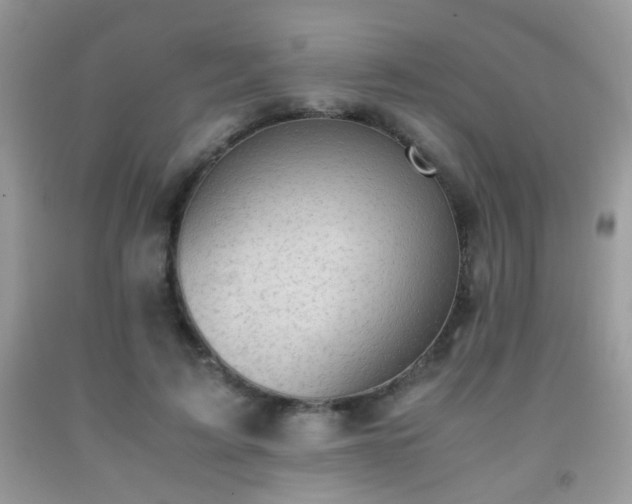 X0000091920595200709051442