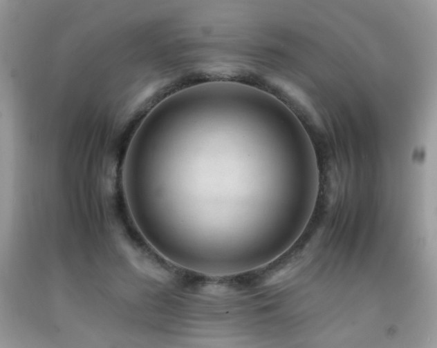 X0000091920596200709051442