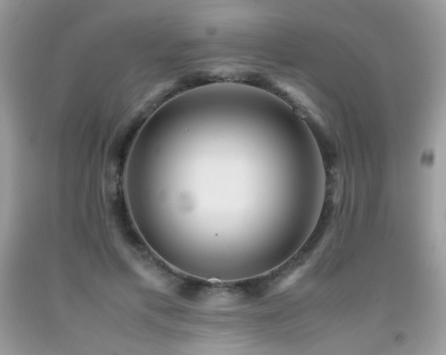 X0000091920597200709051442