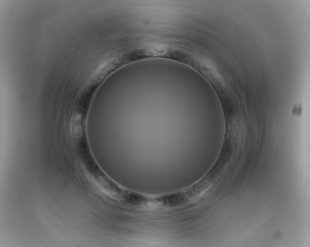 X0000091920598200709051442