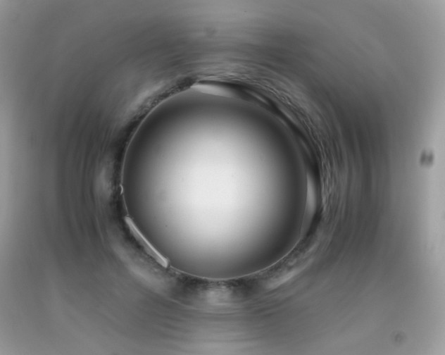 X0000091920600200709051442