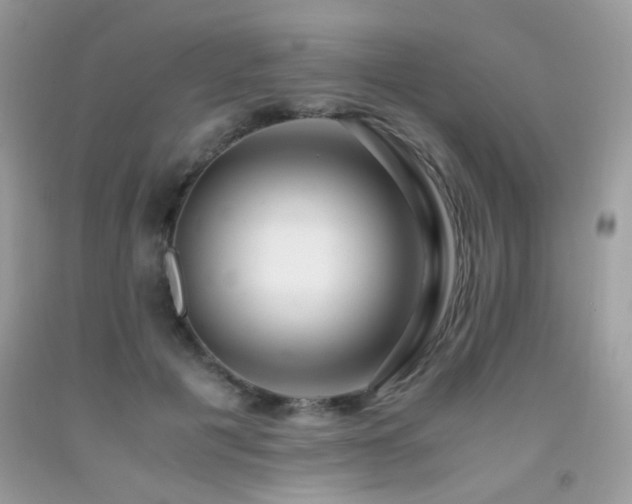 X0000091920601200709051442