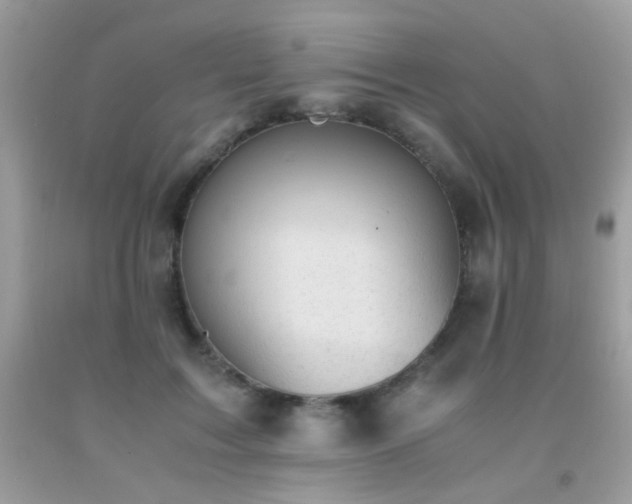 X0000091920603200709051442