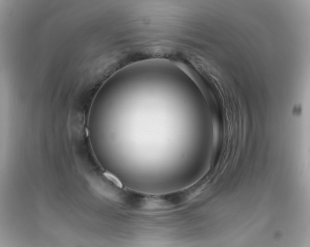 X0000091920605200709051442