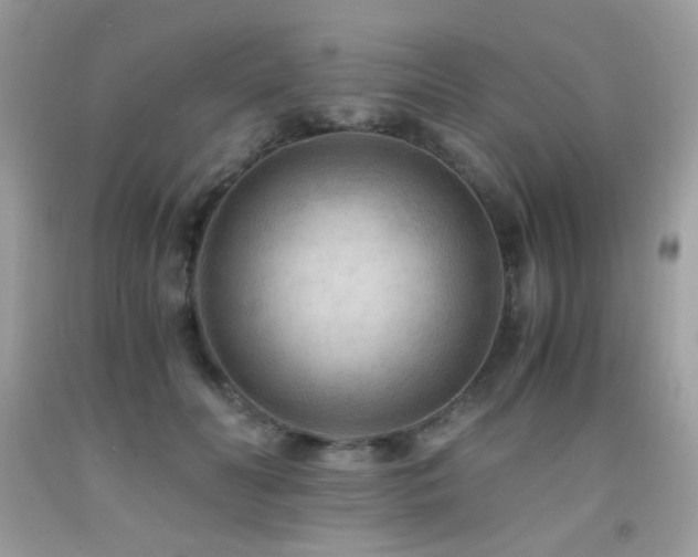 X0000091920606200709051442