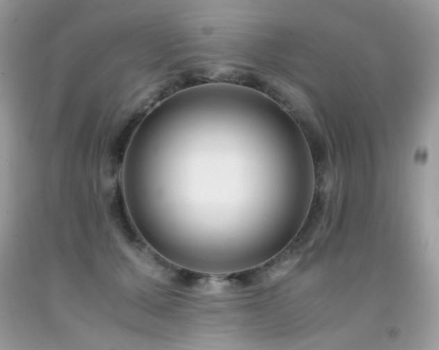X0000091920607200709051442