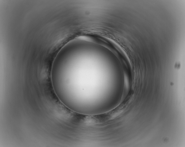 X0000091920608200709051442