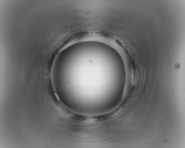 X0000091920609200709051442