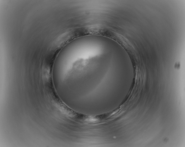 X0000091920610200709051441