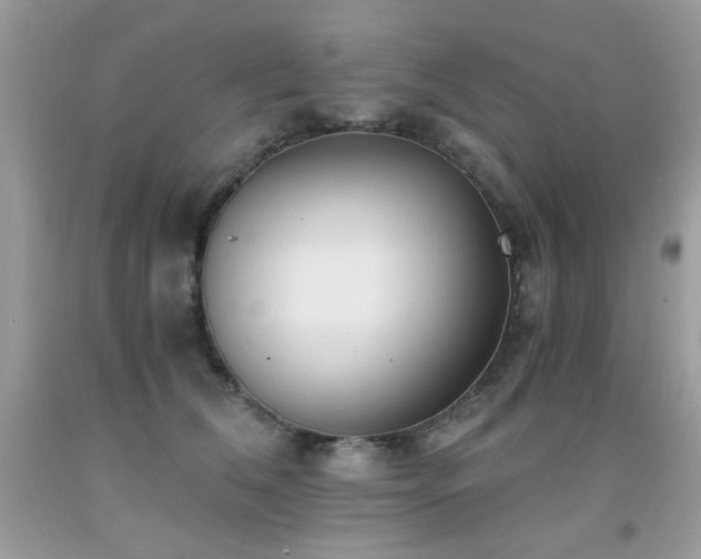 X0000091920612200709051441