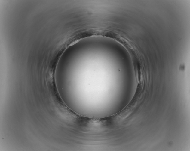 X0000091920613200709051441