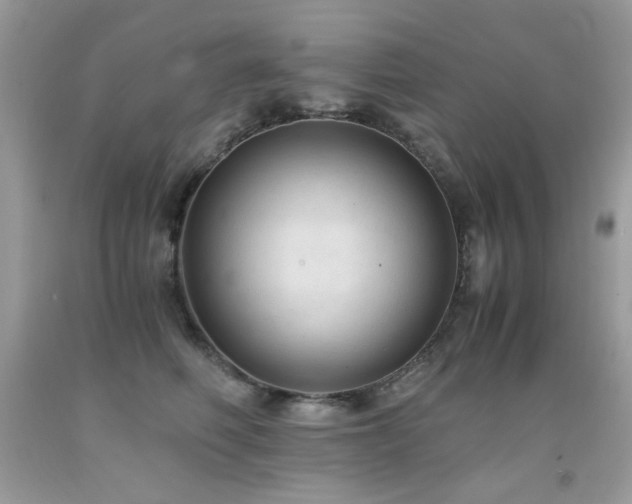 X0000091920614200709051441