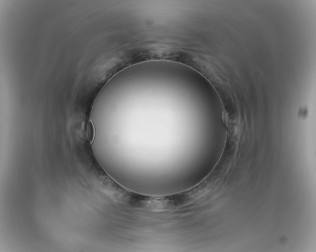 X0000091920615200709051441