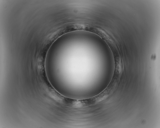 X0000091920616200709051441