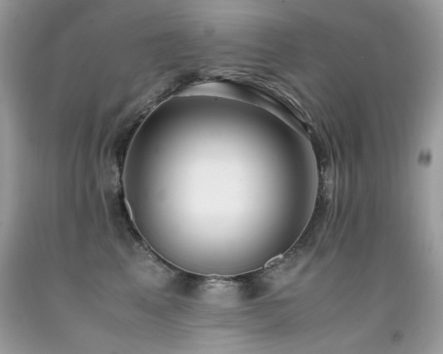 X0000091920617200709051441