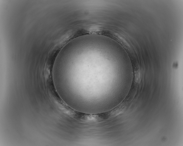 X0000091920618200709051441