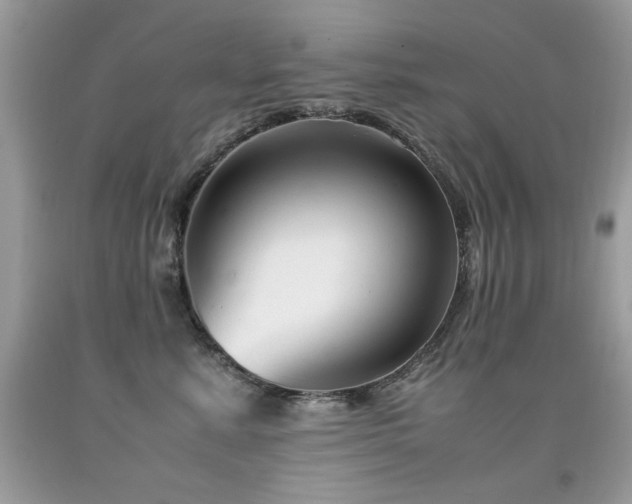 X0000091920619200709051441