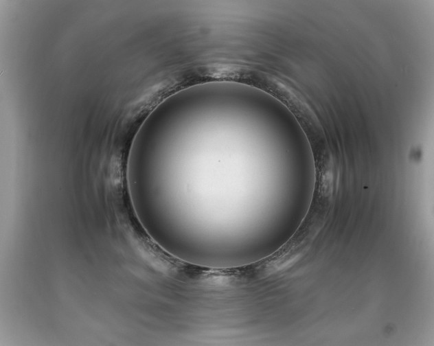 X0000091920620200709051441